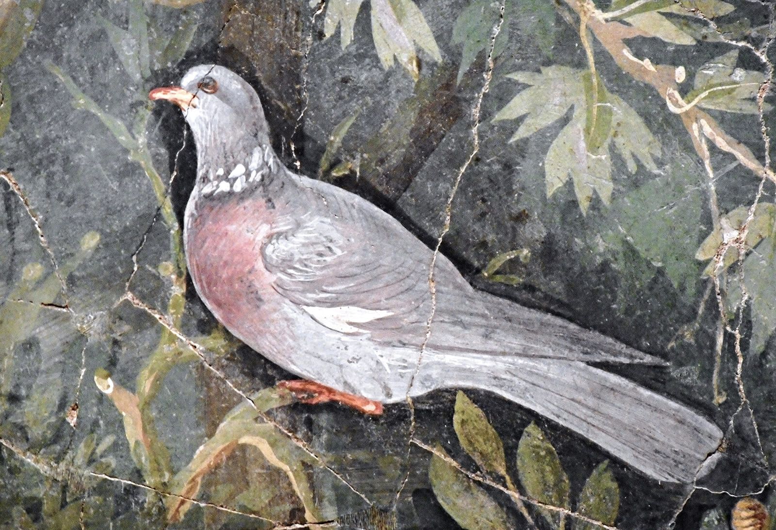A grey and pink dove perched on a slender branch against dense green foliage, painted at close to life size
