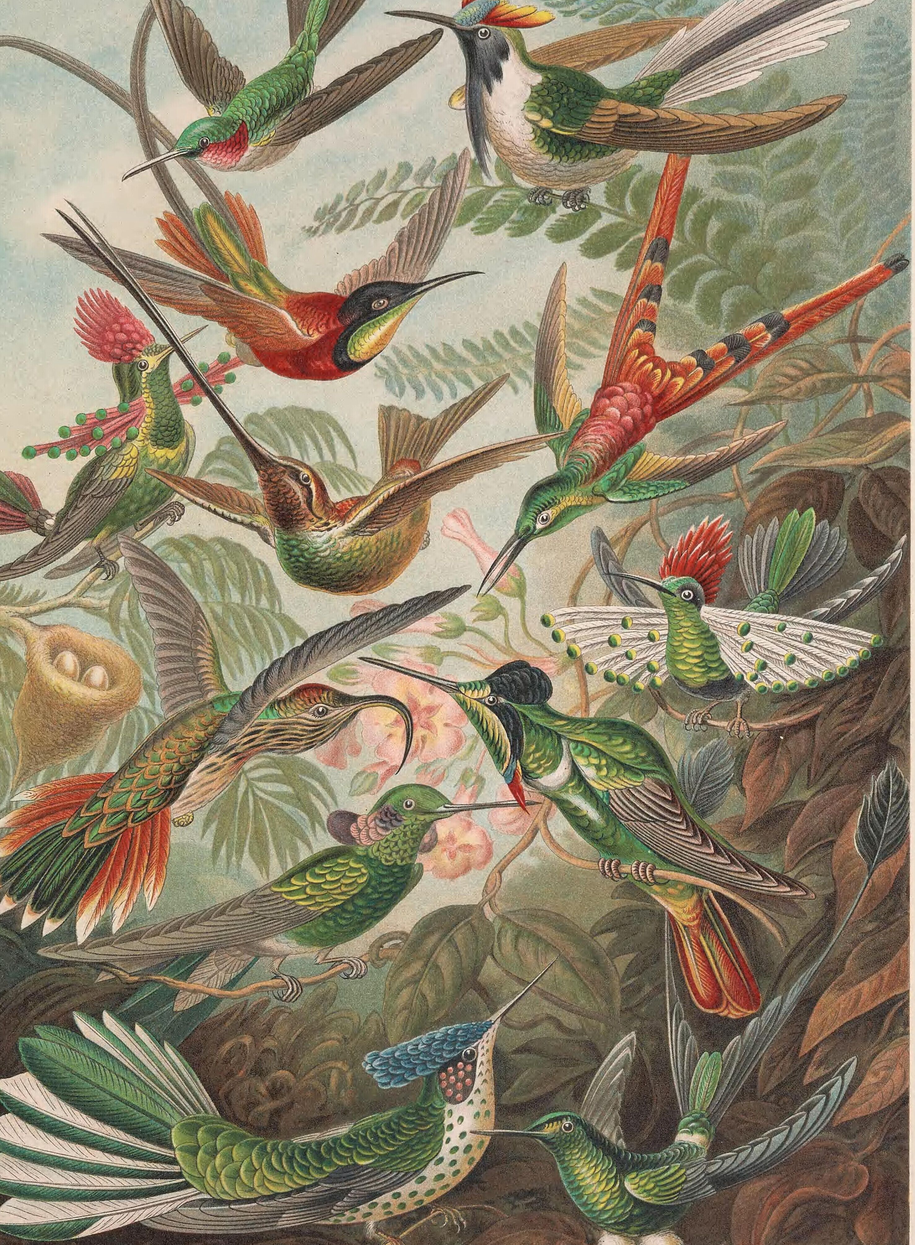 Hummingbirds in green, red and violet arranged across the sheet among leaves and trumpet flowers, several shown in flight with tails extended