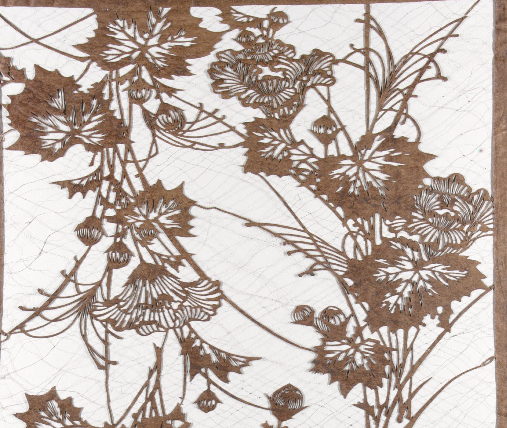 Chrysanthemum heads, buds and broad vine leaves cut from brown paper on a pale ground, the fine silk net that holds the stencil together visible across it