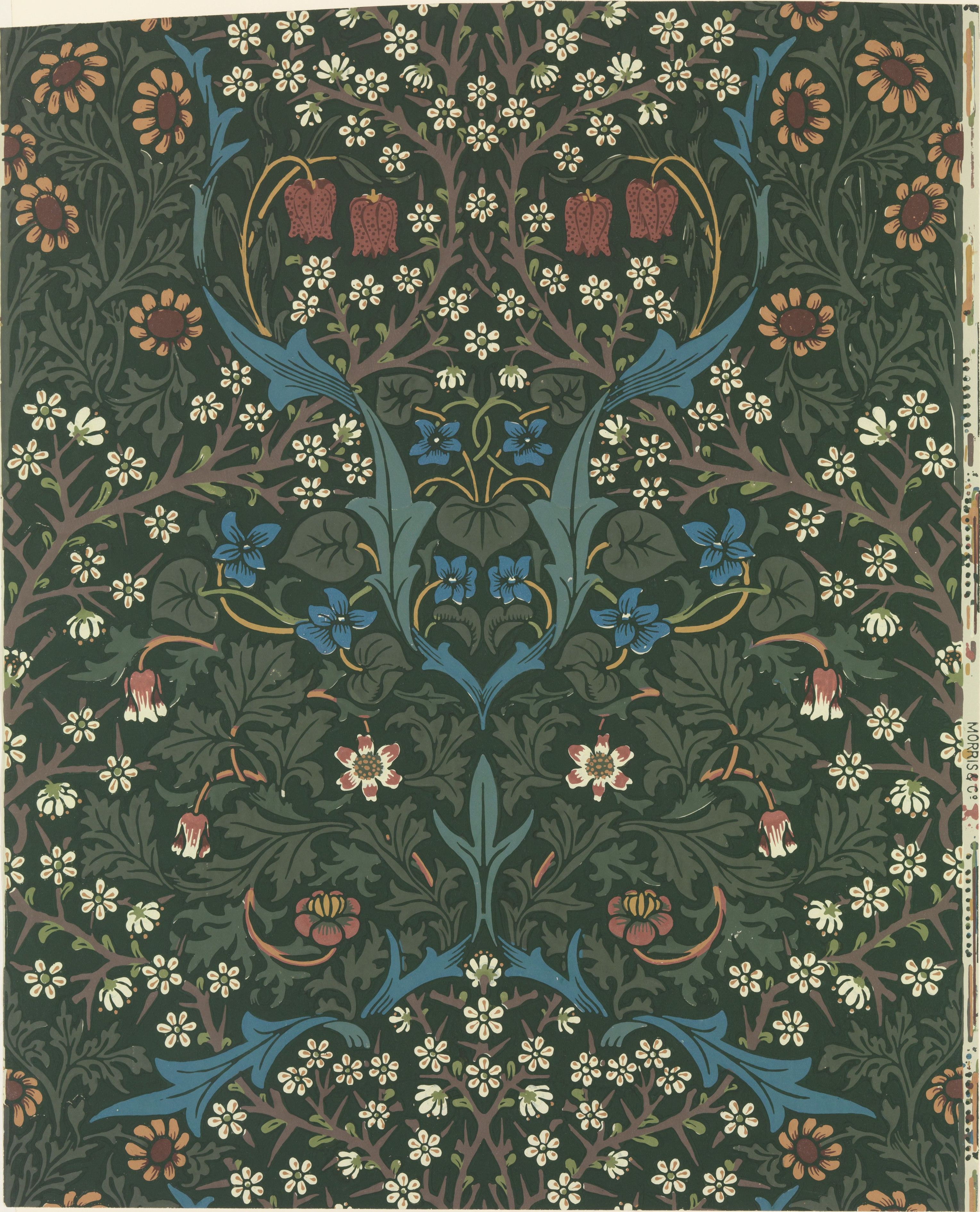Dense blackthorn and fritillary flowers in white, coral and blue packed over a very dark green ground