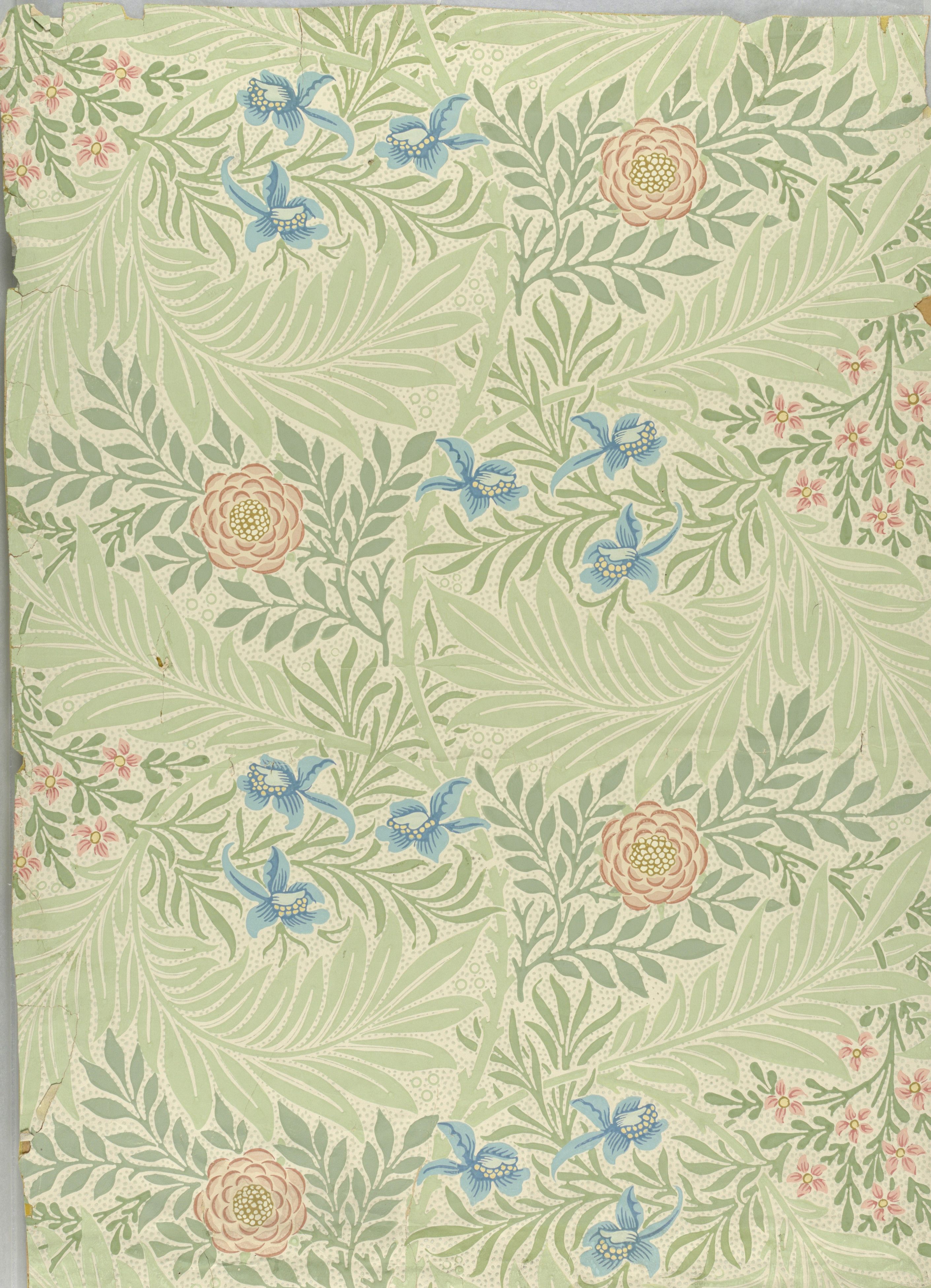 Pale green ground with trailing foliage, blue larkspur flowers and coral rosettes repeating evenly across it