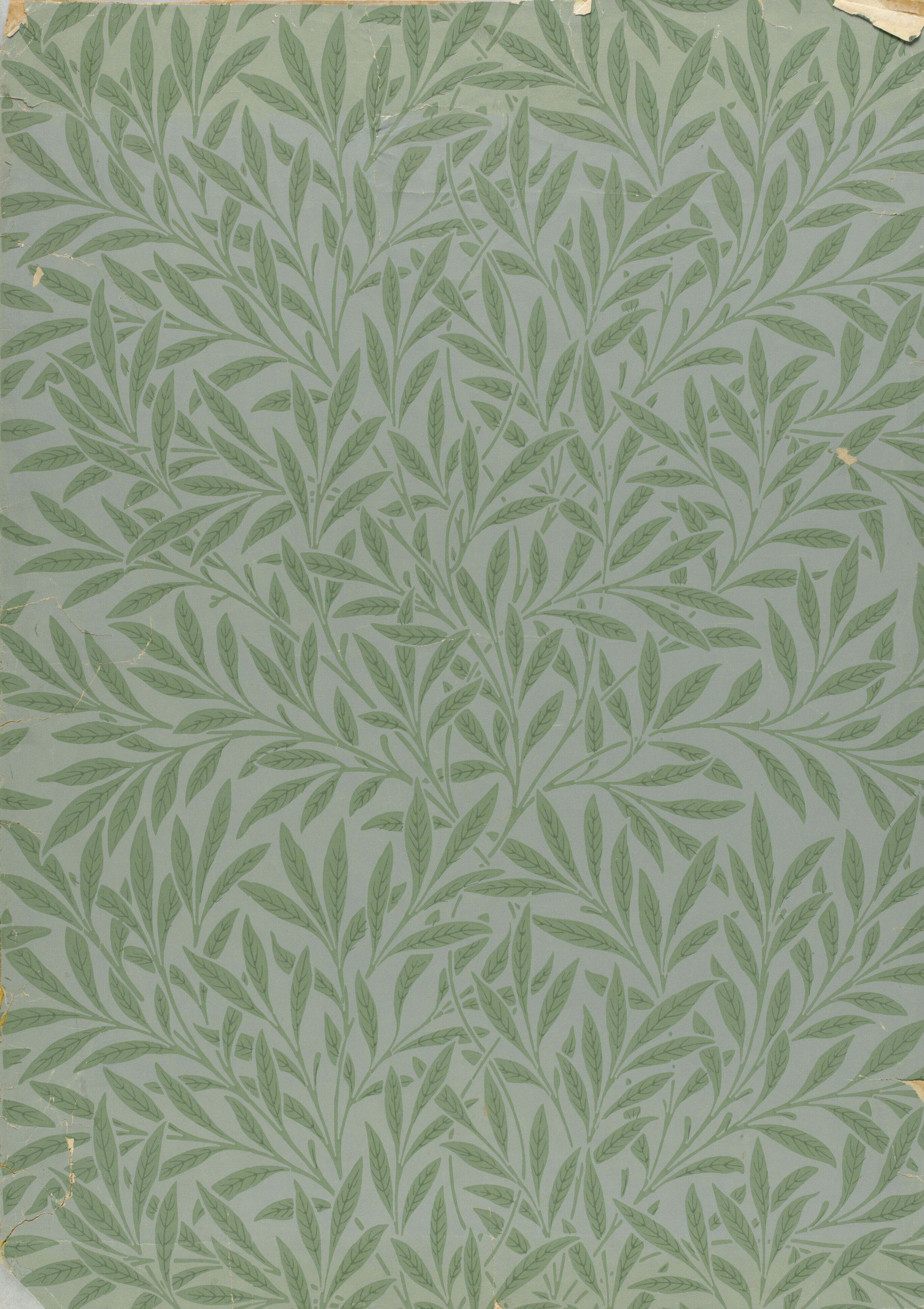 Dense willow leaves in two greens, curling over one another so the pattern reads as one continuous thicket