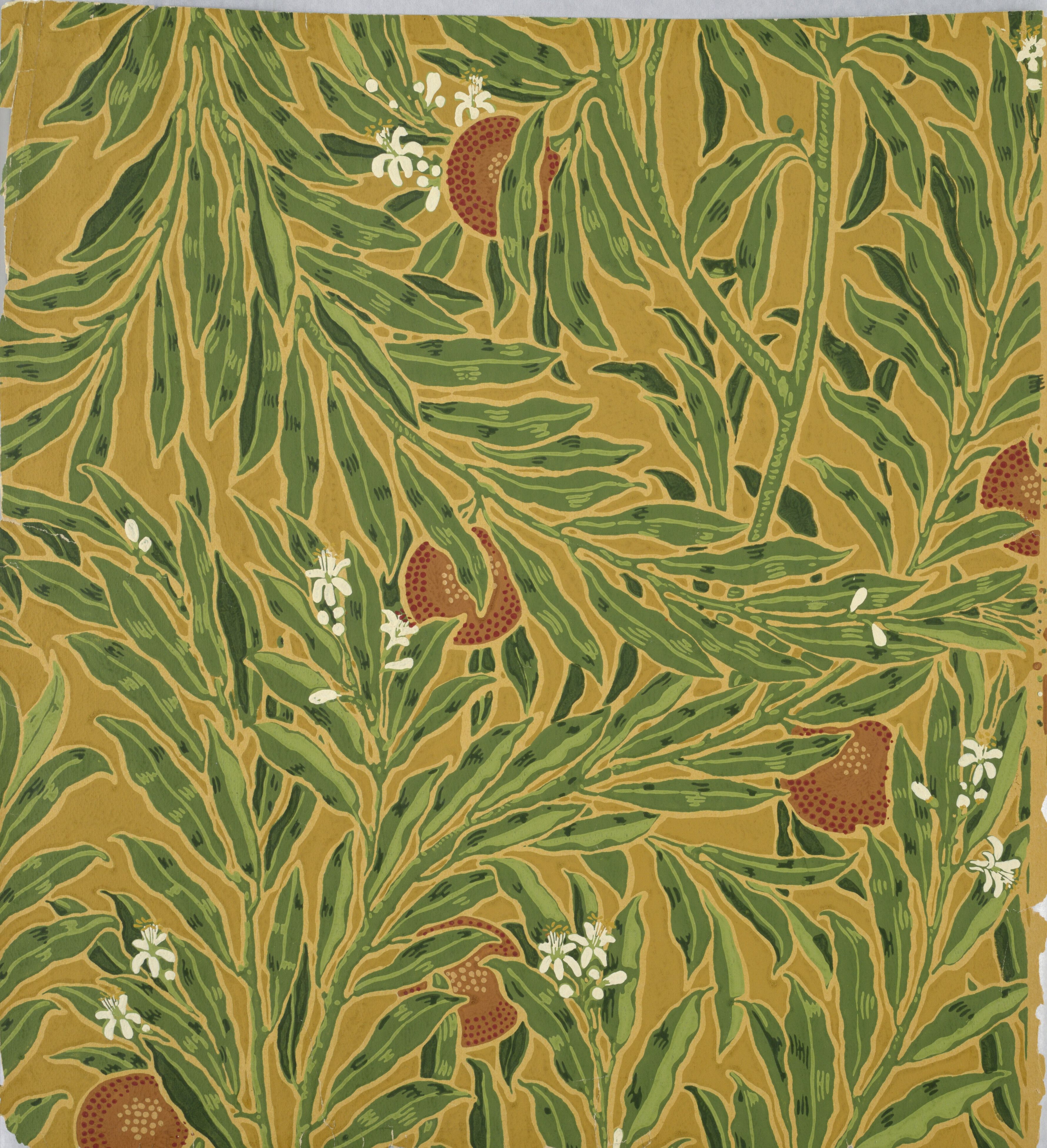Ochre ground crowded with long green leaves, ripe oranges and white blossom