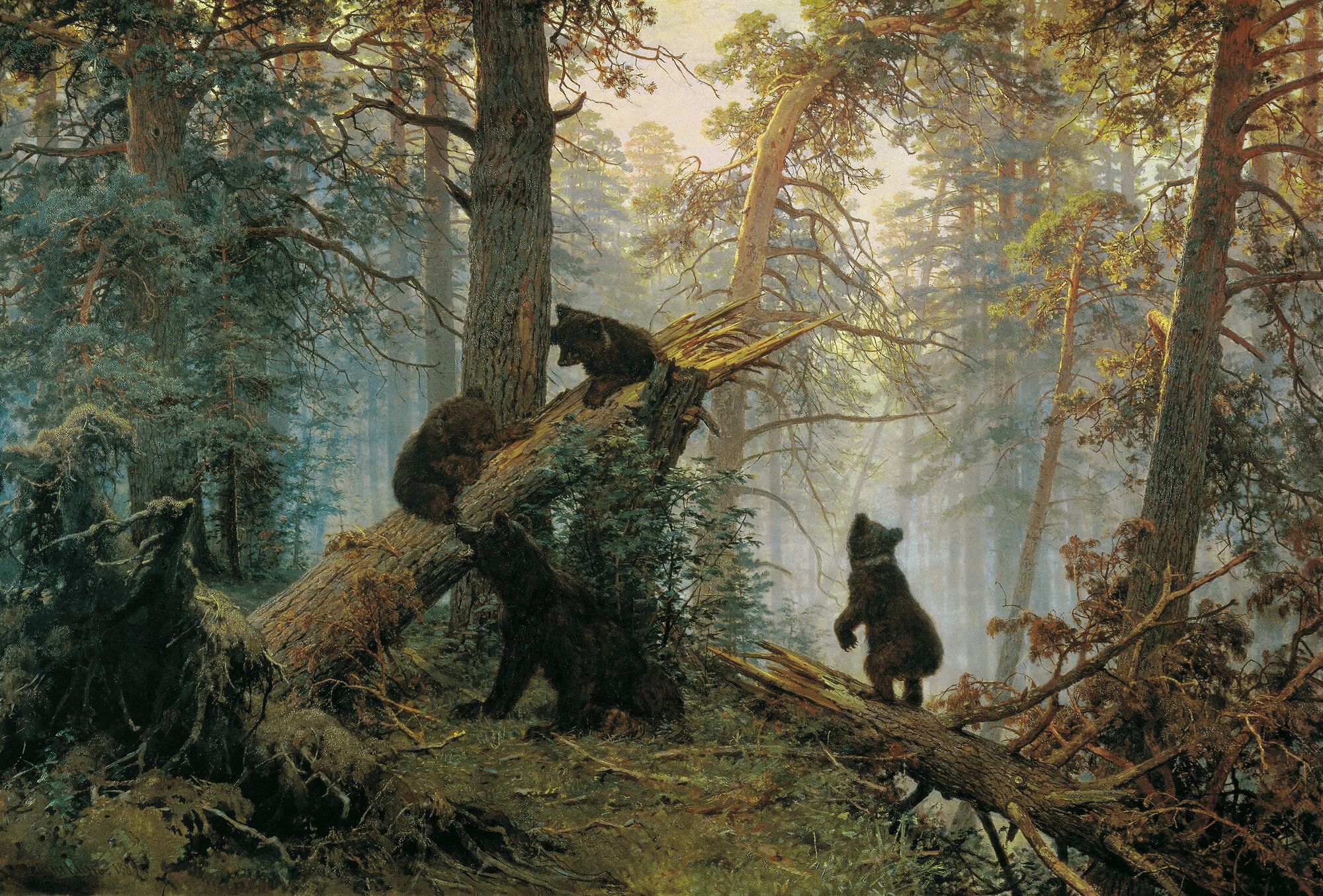 Bear cubs playing on a fallen pine in morning mist among tall trunks, light breaking through the canopy behind